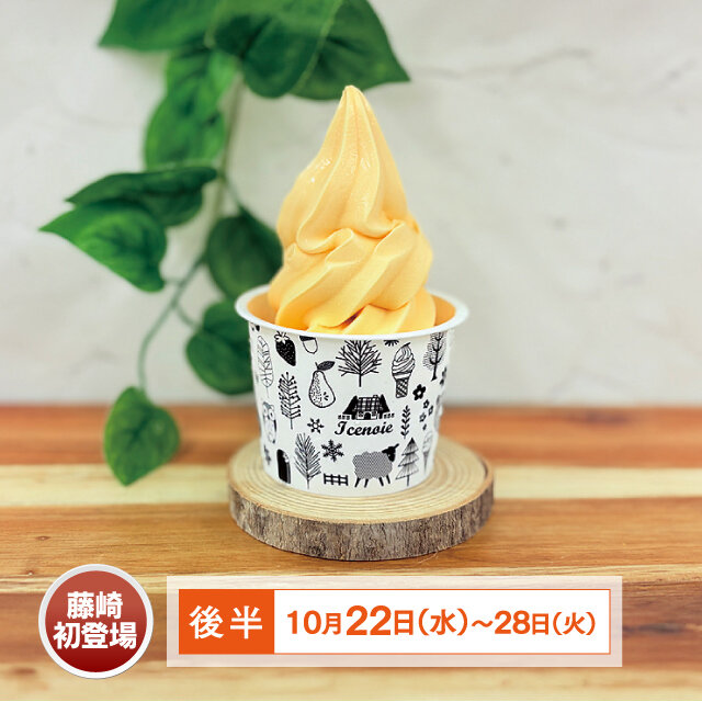 홋카이도 멜론 소프트